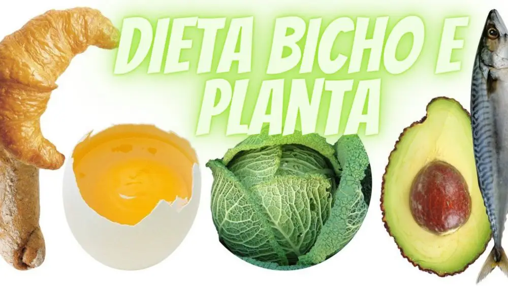 Bicho & Planta